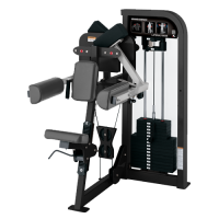 Hammer Strength Select Lateral Raise Hammer Strength Select Lateral Raise