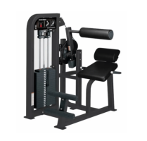 Hammer Strength Select Back Extension Hammer Strength Select Back Extension