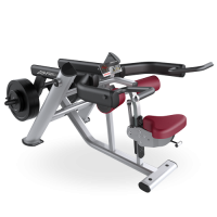 Life Fitness Plate Loaded Seated Dip Life Fitness Plate Loaded Seated Dip